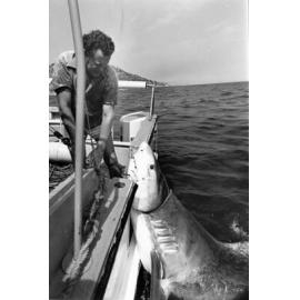 Townsville shark catcher, Mr. George Hopper, ca.1982 