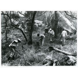 Fire Magnetic Island, 24-25 November, 1971