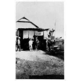 Mar Fan General Store, horse used for deliveries, Townsville, 1933 or 1935