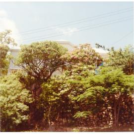 House, 10 Cleveland Terrace, Melton Hill, Townsville, 1985. 