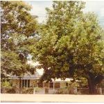 House, 14 Alexandra Street, North Ward, Townsville, 1985