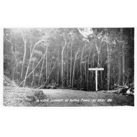 To Widt's lookout, at motor camp, Mount Spec Road