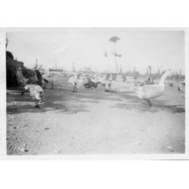 Saltwater Creek, March 1922 