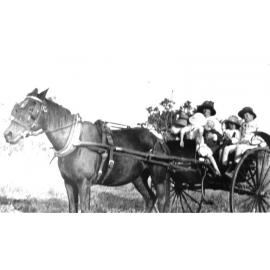Anne Kelso driving her children, Ethel, Ruth and Arthur Kelso, to school in wagonette, ca 1920 