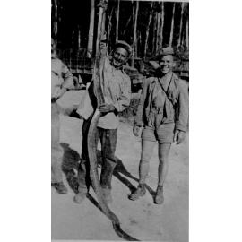 Paluma, U.S. soldiers with huge python, 1942 