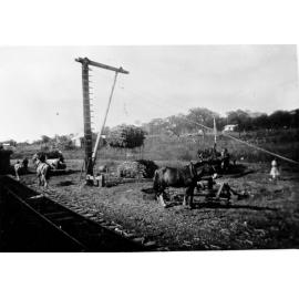 Loading cane onto railway trucks with horse drawn crane, n. d. 