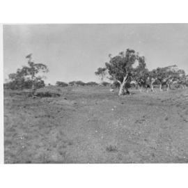 Cloncurry, Copper Mine Creek, ca 1940 