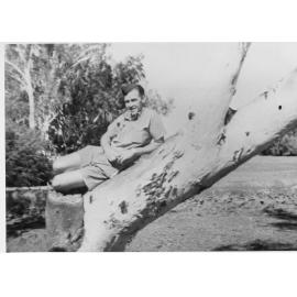 Bob Phillips on a tree at weir at Cloncurry, ca 1940 