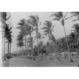 Palm Island village, ca 1940 