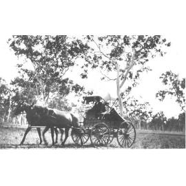 James Kelso with children, Dick and Ethel, riding in wagonette, ca 1910 