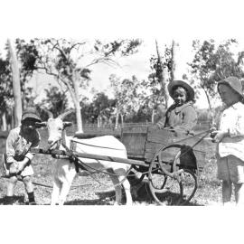 Ruth Kelso in bill goat cart, with Ethel, Dick and Ernie Kelso, 1917 