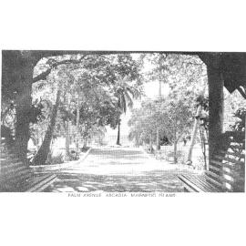 Magnetic Island, Palm Avenue, Arcadia, n.d. 
