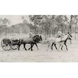 Roseneath Horse Transport - Ron McKergow, Frank Long in front, ca 1938 