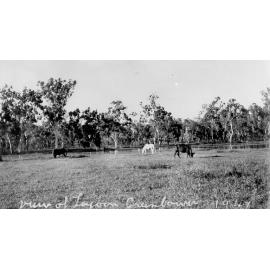 Logoon on "Greenbower" property, 1947 