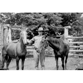 Dick Kelso breaking in two horses in stockyard, Laudham Park, 1948 