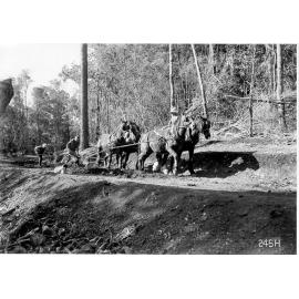 Mount Spec, draught horses ploughing earth for road construction of Route 95, September 1939 