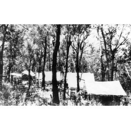 Mount Spec, roadworkers camp with tents in the forest, ca 1930 