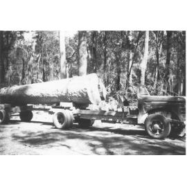 Timber truck loaded with log, ready to transport, n.d. 