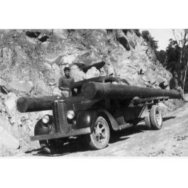 Driver with Dodge truck bearing timber logs, n.d. 