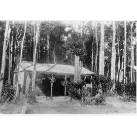 Ivy Cottage and garden, belonging to T.C. Melrose and family, Paluma, n.d. 