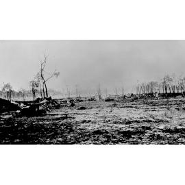 Remains of a Beaufort that crashed about 1 mile from Garbutt airfield, ca 1946 