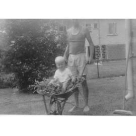 Gordon McIntosh wheeling John McIntosh in wheel barrow, Aitkenvale, Townsville, 1965 