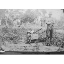 Mr Neville, with his children Pat and Frank in the billy cart at Manton, 1929 