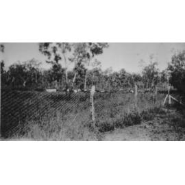The Neville herd at Manton, ca 1942 
