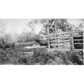 Draining Yard" after tipping, Neville family property, Manton, ca 1940 