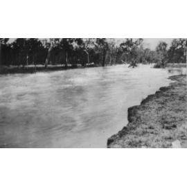 Charlie Creek, Antil Plains, 1946 