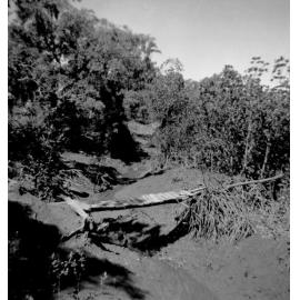 Bridge over Rollingstone Creek tributary, ca 1950