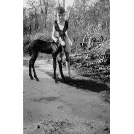 Kenneth McKergow, aged about 6 years, with mule Rollingstone Creek, ca 1950