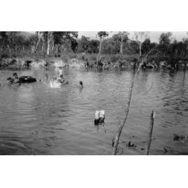 Swimming Hole, Rollingstone Creek tributary, ca 1950