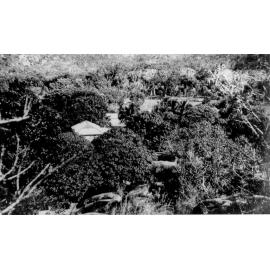 Magnetic Island from the mountain side of Alma Bay, ca 1956 