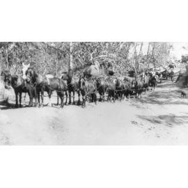 George Brabon and George Whalley with horse team on Hervey's Range Road, n.d. 