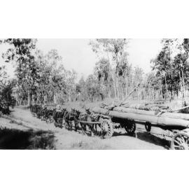 George Brabon's horse team with electric light poles on Hervey's Range Road, ca 1930