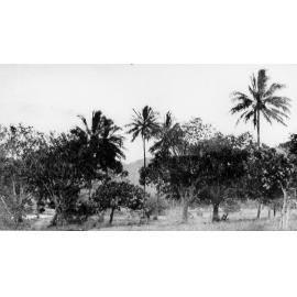 Magnetic Island, ca 1930 