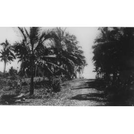 Dunk Island, ca 1927 