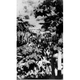 Townsville, Garden, ca 1920 