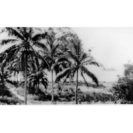 Dunk Island, ca 1930 