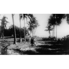 Dunk Island, 1927 