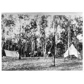 Camp on Black River, near One Mile Creek, Townsville. 