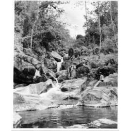 View of Crystal Creek, Mount Spec area 