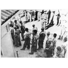 First Japanese prisoners of war arriving in Townsville from New Guinea, 1942 