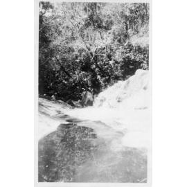 Saltwater Creek, Mount Spec, immediately above the falls 