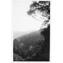 View from above falls, Saltwater Creek, Mount Spec 