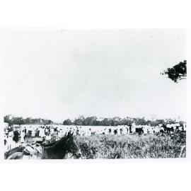 Spectators gather at the flooded Burdekin River, Ayr, 1917