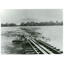 Flood debris accumulated against the Burdekin River railway bridge, 1922
