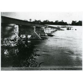 The Inkerman railway bridge across the Burdekin River during the first flood after its construction, February 1914
