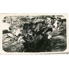 Family photograph from the Quelch Forno collection : Detail of crashed plane